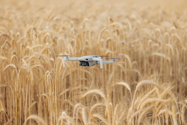 Kansas Agricultural Drone Services (KADS)